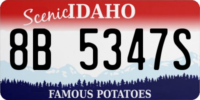 ID license plate 8B5347S