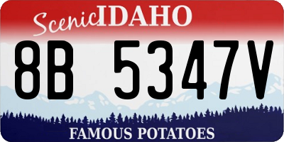 ID license plate 8B5347V