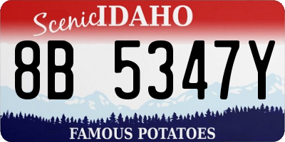ID license plate 8B5347Y