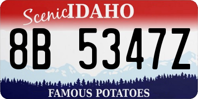 ID license plate 8B5347Z