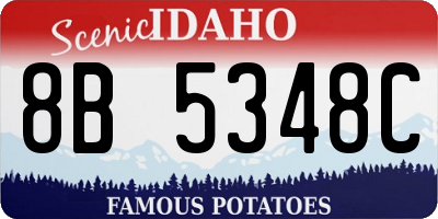 ID license plate 8B5348C