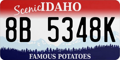 ID license plate 8B5348K