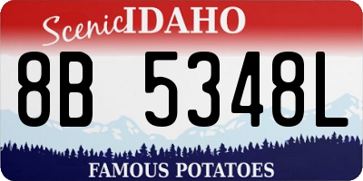 ID license plate 8B5348L