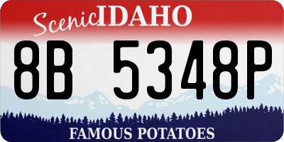 ID license plate 8B5348P