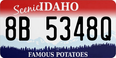 ID license plate 8B5348Q