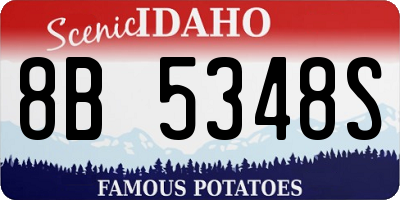 ID license plate 8B5348S