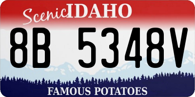 ID license plate 8B5348V