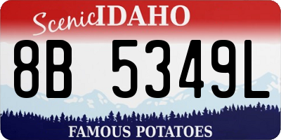 ID license plate 8B5349L