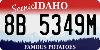ID license plate 8B5349M