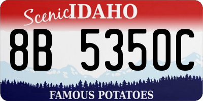 ID license plate 8B5350C