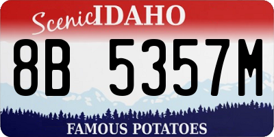 ID license plate 8B5357M