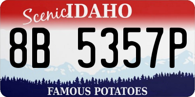 ID license plate 8B5357P