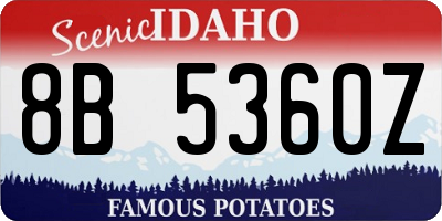 ID license plate 8B5360Z