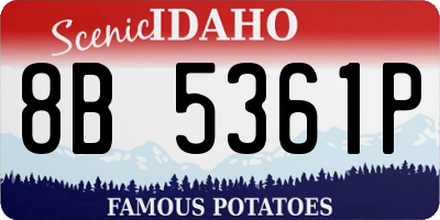 ID license plate 8B5361P