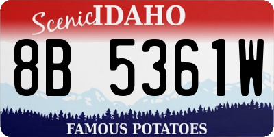 ID license plate 8B5361W