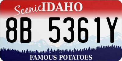 ID license plate 8B5361Y