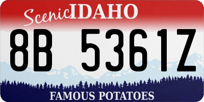 ID license plate 8B5361Z