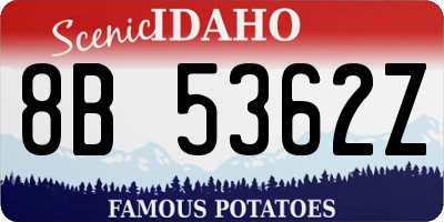 ID license plate 8B5362Z