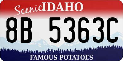 ID license plate 8B5363C