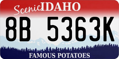 ID license plate 8B5363K