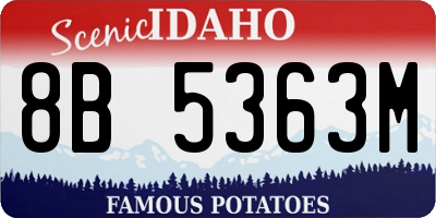 ID license plate 8B5363M