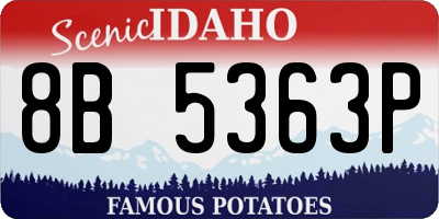 ID license plate 8B5363P
