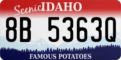 ID license plate 8B5363Q