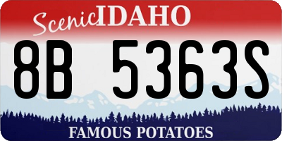 ID license plate 8B5363S