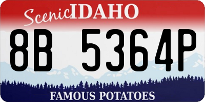 ID license plate 8B5364P