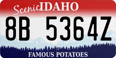 ID license plate 8B5364Z