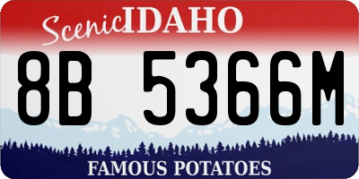 ID license plate 8B5366M