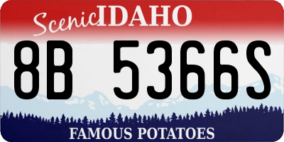 ID license plate 8B5366S
