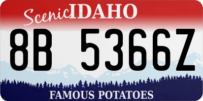 ID license plate 8B5366Z