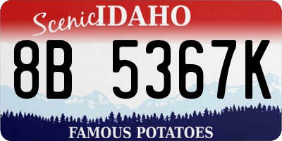 ID license plate 8B5367K