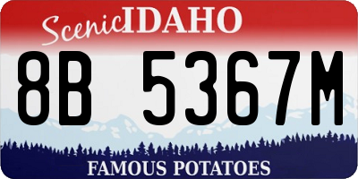 ID license plate 8B5367M