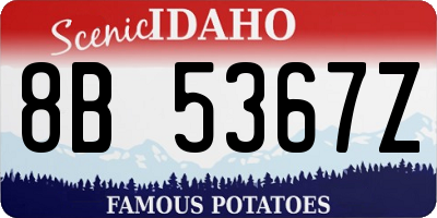 ID license plate 8B5367Z