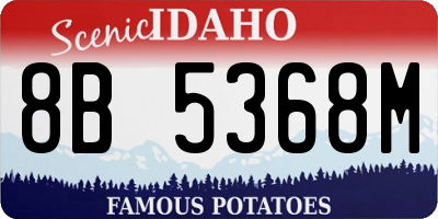 ID license plate 8B5368M