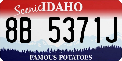ID license plate 8B5371J