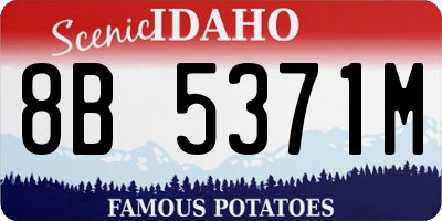 ID license plate 8B5371M