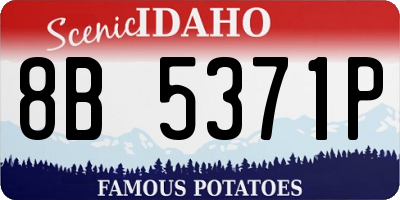 ID license plate 8B5371P