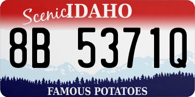ID license plate 8B5371Q