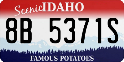 ID license plate 8B5371S