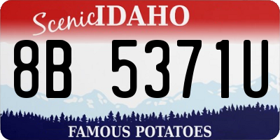 ID license plate 8B5371U