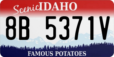 ID license plate 8B5371V