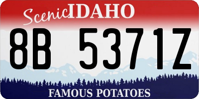 ID license plate 8B5371Z