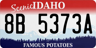 ID license plate 8B5373A