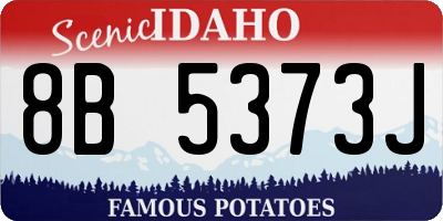 ID license plate 8B5373J