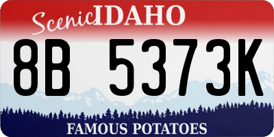 ID license plate 8B5373K
