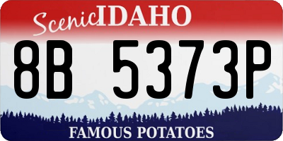 ID license plate 8B5373P