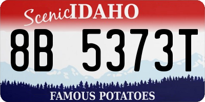 ID license plate 8B5373T